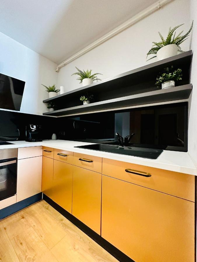 Kharisma Apartment-Free Parking-Ultracentral Cluj-Napoca Eksteriør billede